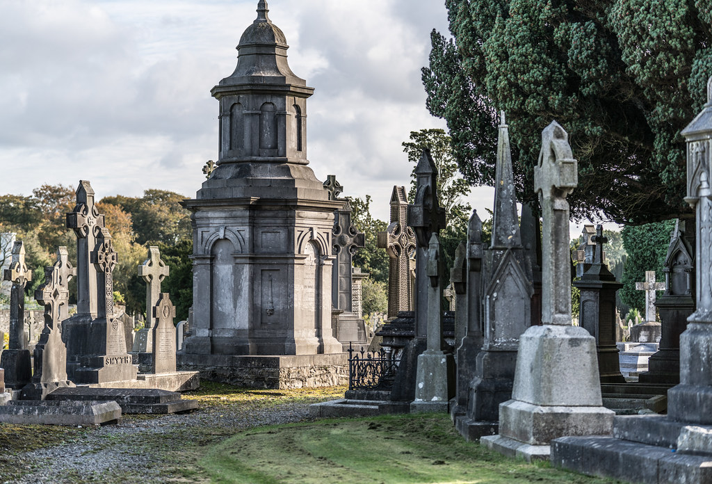 A QUICK VISIT TO GLASNEVIN CEMETERY[SONY F2.8 70-200 GM LENS]-122103