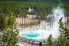 Overlooking the Cistern Spring; Yellowstone NP