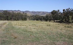 2193 Hill End Rd, Mudgee NSW