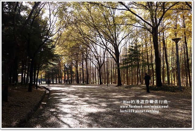 서울숲14