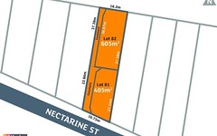 36 Nectarine Street, Runcorn QLD