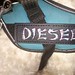 DIESEL • <a style="font-size:0.8em;" href="http://www.flickr.com/photos/104927428@N03/22138570819/" target="_blank">View on Flickr</a>