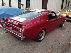 1968 Mustang • <a style="font-size:0.8em;" href="http://www.flickr.com/photos/85572005@N00/23027276524/" target="_blank">View on Flickr</a>