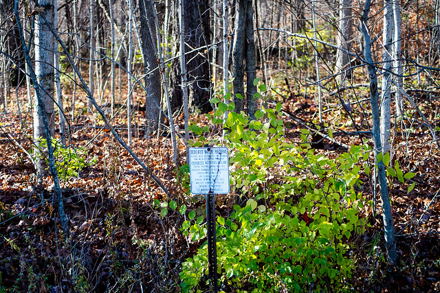 Ziegler Woods Nature Preserve - November 21, 2016