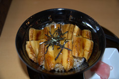 Eel and rice