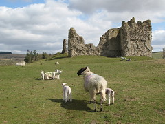 Bewcastle Castle