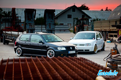 MK4 & Polo 6N2 • <a style="font-size:0.8em;" href="http://www.flickr.com/photos/54523206@N03/23250352111/" target="_blank">View on Flickr</a>