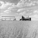 Swathing wheat during the harvest on the Matador Cooperative Farm, about 40 miles north of Swift Current, Saskatchewan / Andainage du blé à la coopérative agricole Matador, à environ 65 km au nord de Swift Current (Saskatchewan)