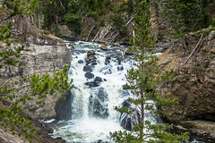 Gibbon Falls; Yellowstone NP
