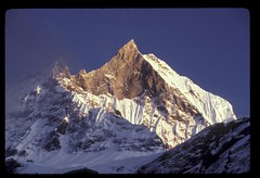 Sacred Mt. Machhaphuchhare, Nepal
