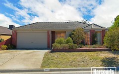 51 Spencer Drive, Carrum Downs VIC