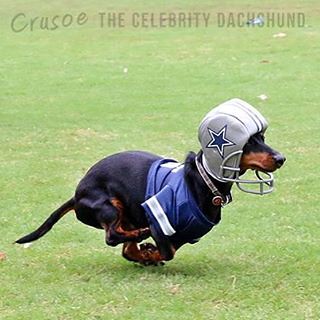 NEE BLOG POST - read about my visit to #DallasBIG as part of the #CrusoeTour via link in my profile!! 🏉🏇