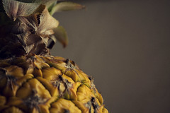 Anglų lietuvių žodynas. Žodis pineapple family reiškia ananasų šeimos lietuviškai.