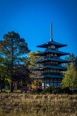 A pagoda (cell-tower?) in Longmont, CO.