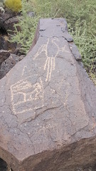 The famous macaw petroglyph in Boca Negra Canyon