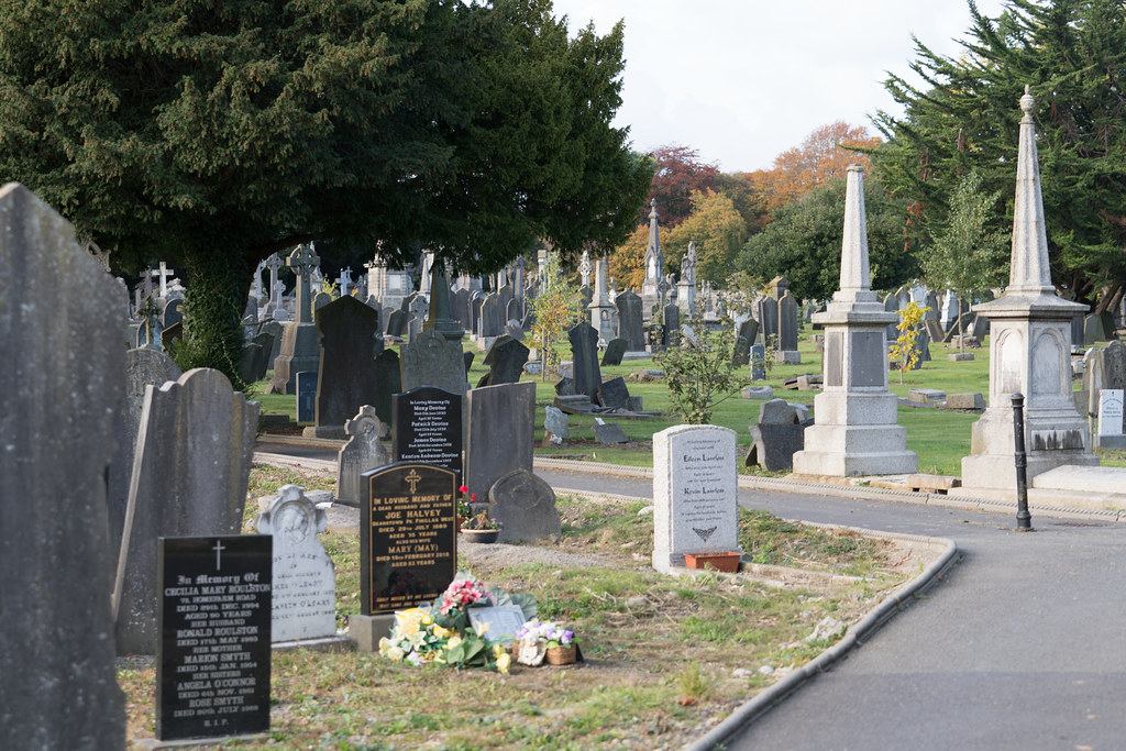 A QUICK VISIT TO GLASNEVIN CEMETERY[SONY F2.8 70-200 GM LENS]-122062