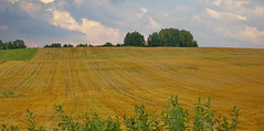 IMGP3197 Stitch • <a style="font-size:0.8em;" href="http://www.flickr.com/photos/62692398@N08/21088493829/" target="_blank">View on Flickr</a>