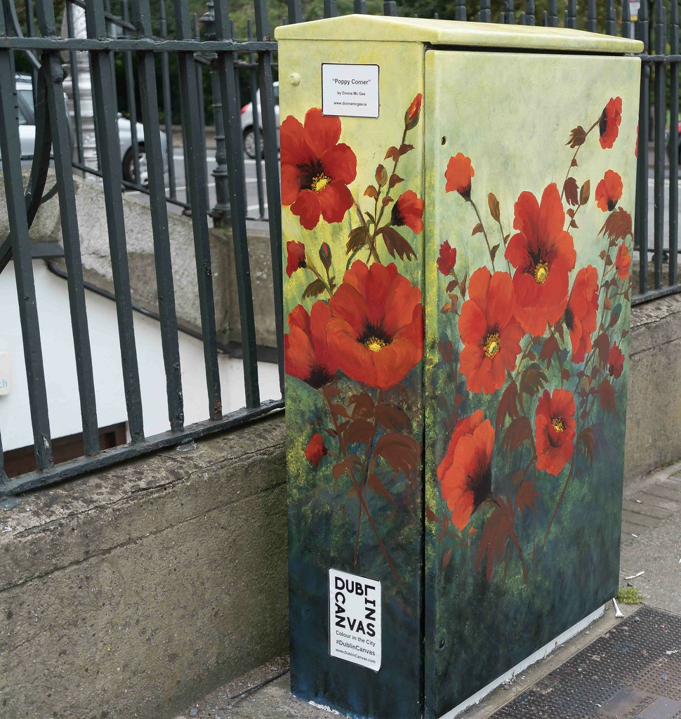POPPY CORNER BY DONNA MC GEE [Fitzwilliam Street - Merrion Square South] REF-10805496