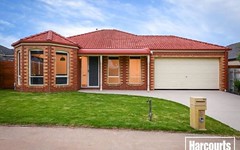 8 Victory Way, Carrum Downs VIC