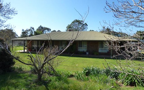 80 Tipperary Lane, Young NSW 2594