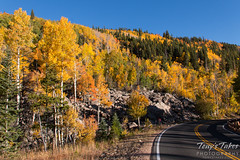 September 26, 2015 - The road to gold in Rocky Mountain National Park. (Tony's Takes)