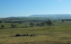 Lot 3 O''Connell Plains Road, O'Connell NSW