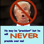 Never Trump, From FlickrPhotos