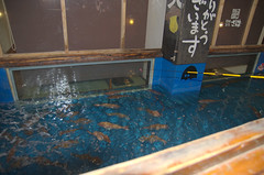 Zelf je vis vangen in Zauo restaurant Fukuoka