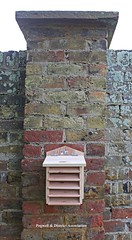 Installation of Bird Bat Insect Boxes Courtstairs Park