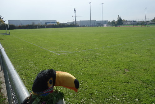 Après la rencontre, Pelico admire le grand stade des élèves, à proximité