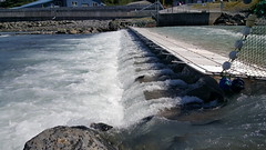The fish weir