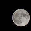 Mi piace pensare che la luna  l anche se io non la guardo... (A. Einstein) #MOON  #night #nighttime #dark #nightsky #themoon #thestars #star #stars #golook #nuture #twlightscapes #noche #nuite #luna #lune #lunar #nite #latenight #latenite  #photo #cool