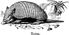 Anglų lietuvių žodynas. Žodis tatou reiškia <li>tatou</li> lietuviškai.