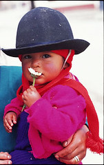 Quichua girl holding flower in the highlands - Ingapirca, Ecuador