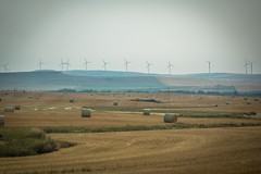 The Pincher Creek Wind Farm.