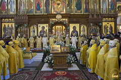 75. Glorification of the Synaxis of the Holy Fathers Who Shone in the Holy Mountains at Donets. July 12, 2008 / Прославление Святогорских подвижников. 12 июля 2008 г