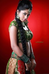 South Actress Deepika Das Traditional cum Hot Photos Set-3 (5)