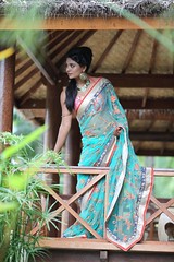 South Actress Deepika Das Traditional Photos Set-1 (27)
