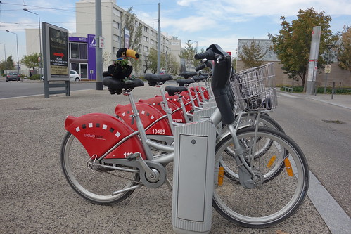Pour entamer le week-end, Pelico a le choix entre le Velov', le service de vélo partagé lyonnais ...