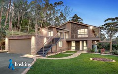 7 Paddys Lane, Park Orchards VIC