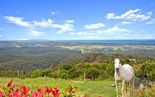 663B Little Forest Road, Little Forest NSW