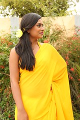South Actress Deepika Das Hot in Yellow Sari Photos Set-2 (9)