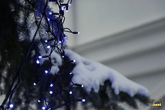 The Adornment of the Christmas Tree / Украшение рождественской ели (6)