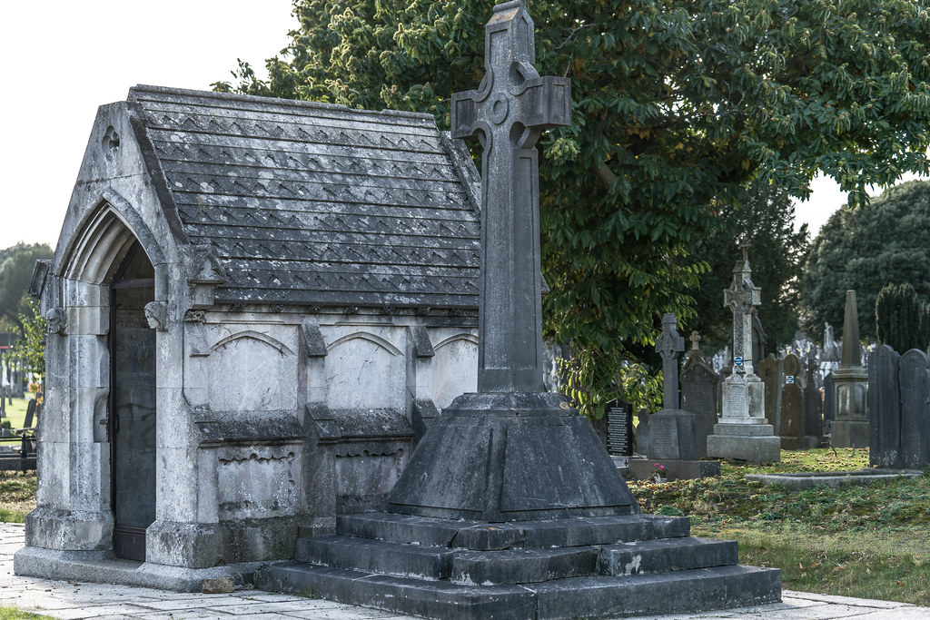 A QUICK VISIT TO GLASNEVIN CEMETERY[SONY F2.8 70-200 GM LENS]-122080